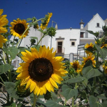 Cuore Dei Venti Martina Franca Exteriör bild