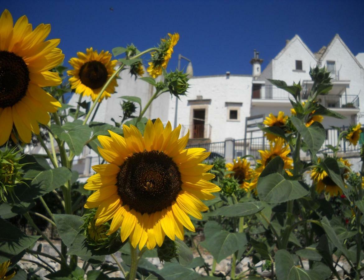 Cuore Dei Venti Martina Franca Exteriör bild